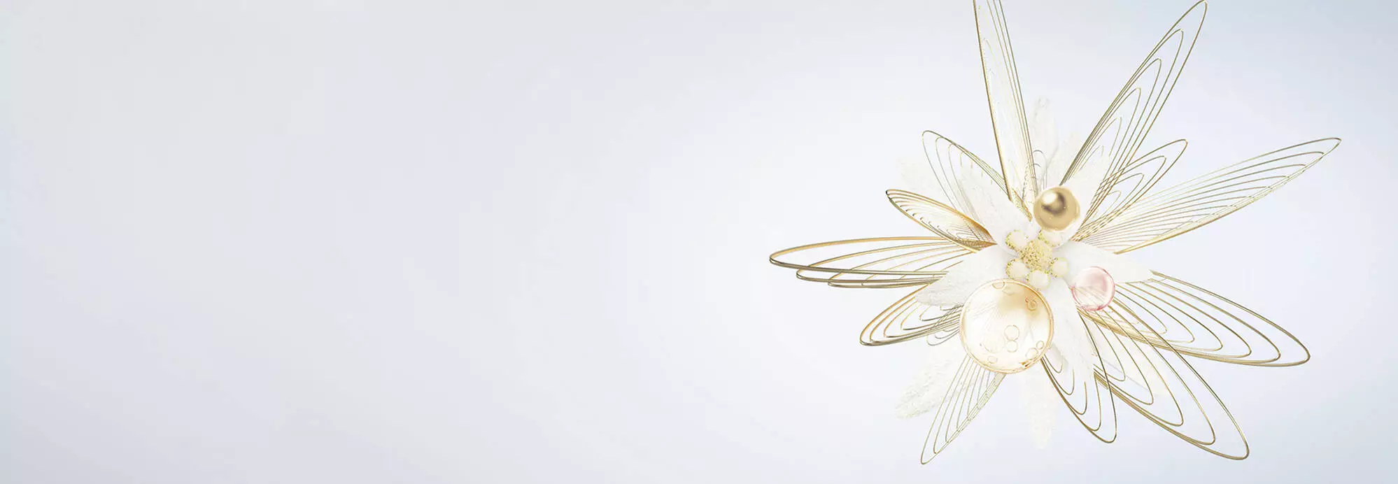 Hero Banner Banner