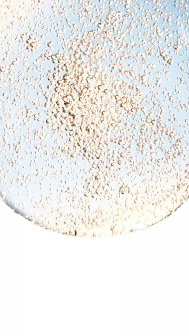 Transparent circular droplet with suspended golden particles.