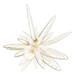 Prodigy Cellglow the Radiant Regenerating Cream