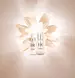 Prodigy Cellglow UV Fluid