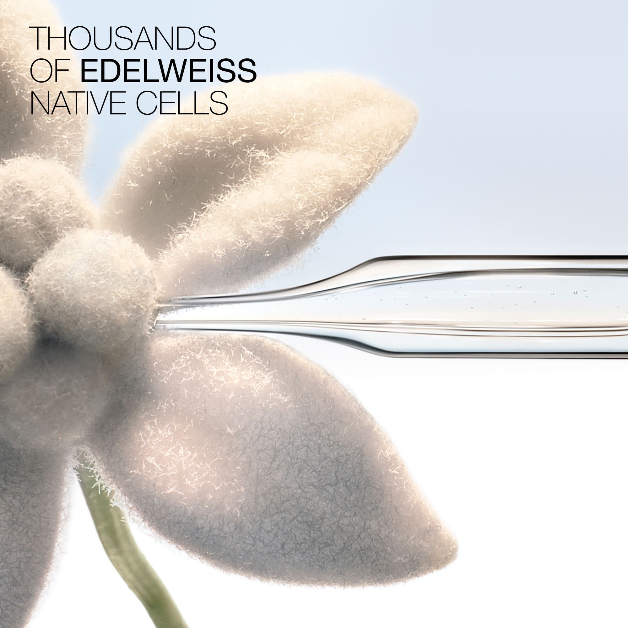 PRODIGY CELLGLOW THE RICH DEWY ESSENCE