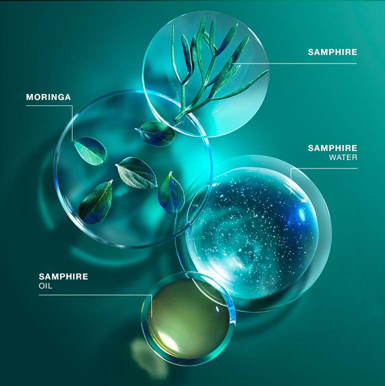 Powercell Skinmunity Fresh Revitalizing Essence In Mist